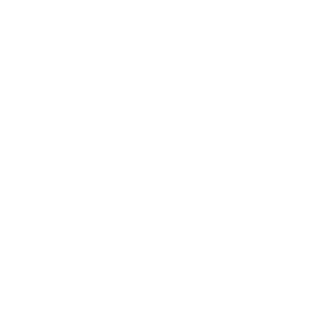Background Verification