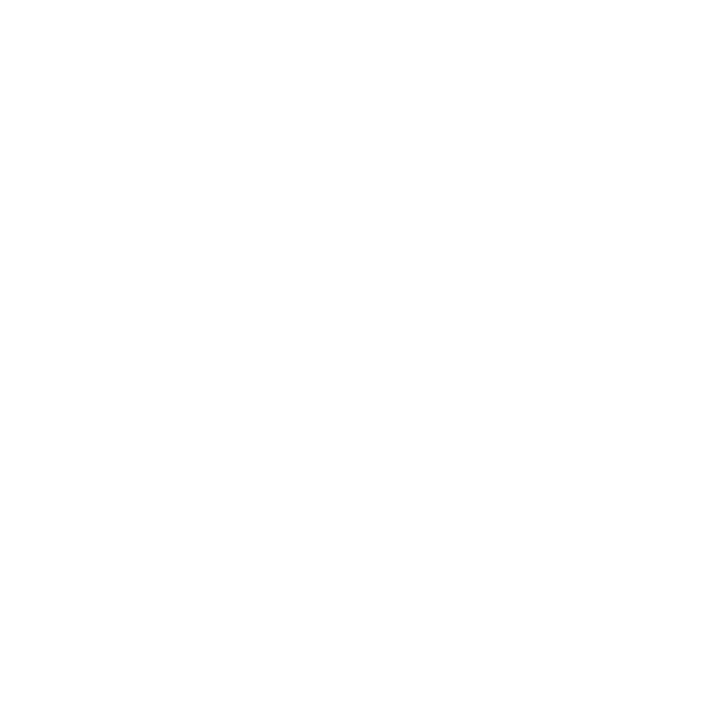 Full Stack Developers